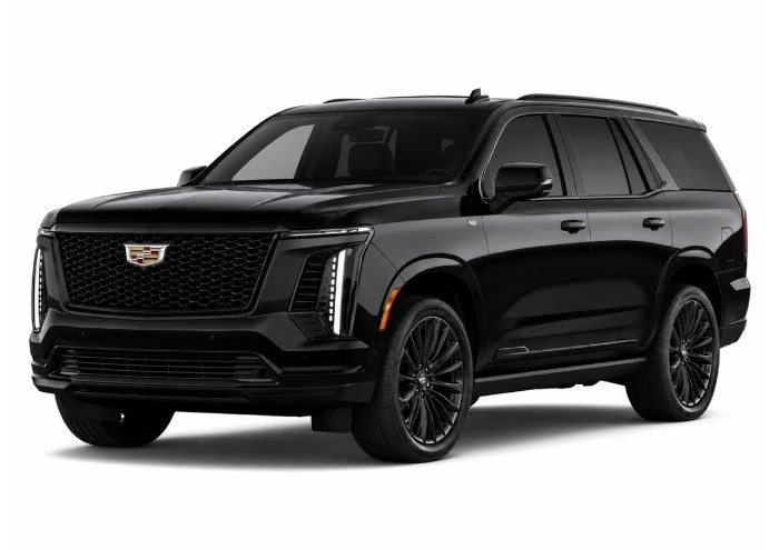 Cadillac ESV