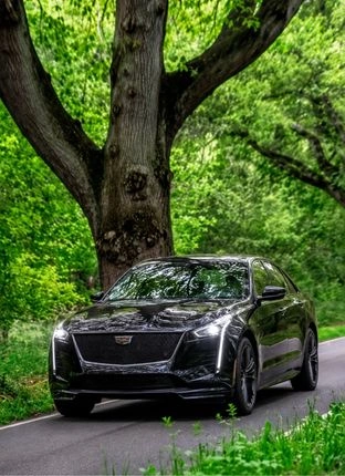 Explore luxury Limo transportation tailored for every mile